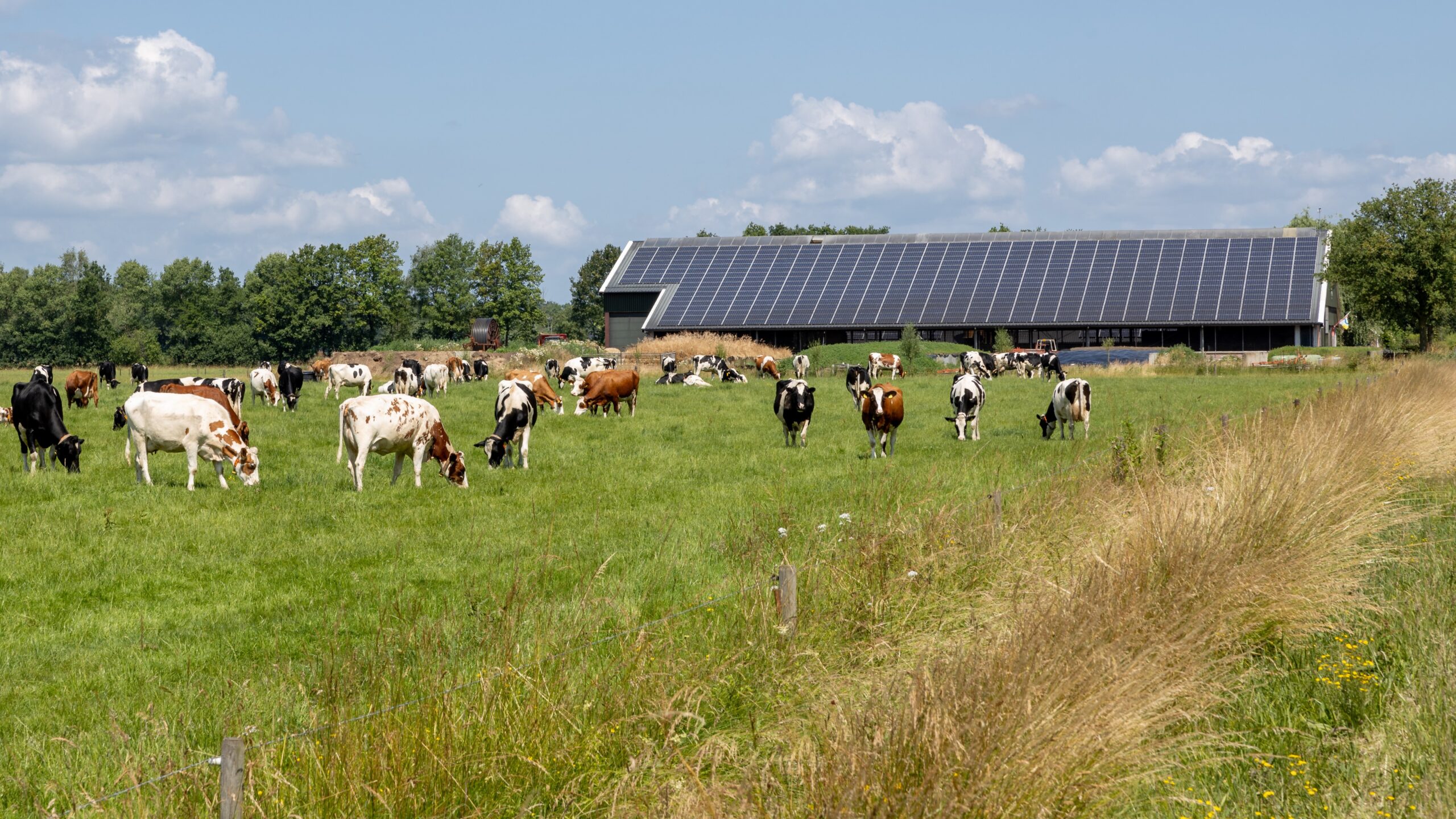 Foto: FrieslandCampina