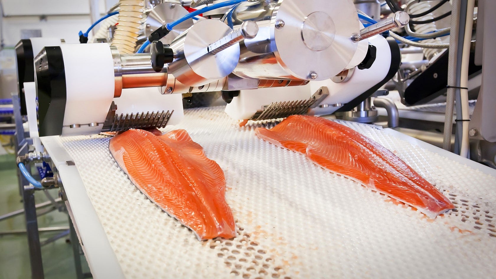 Beeld: Foppen Seafood