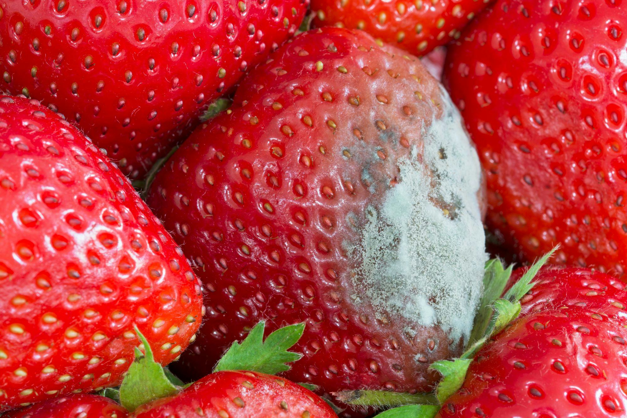 foto: shutterstock