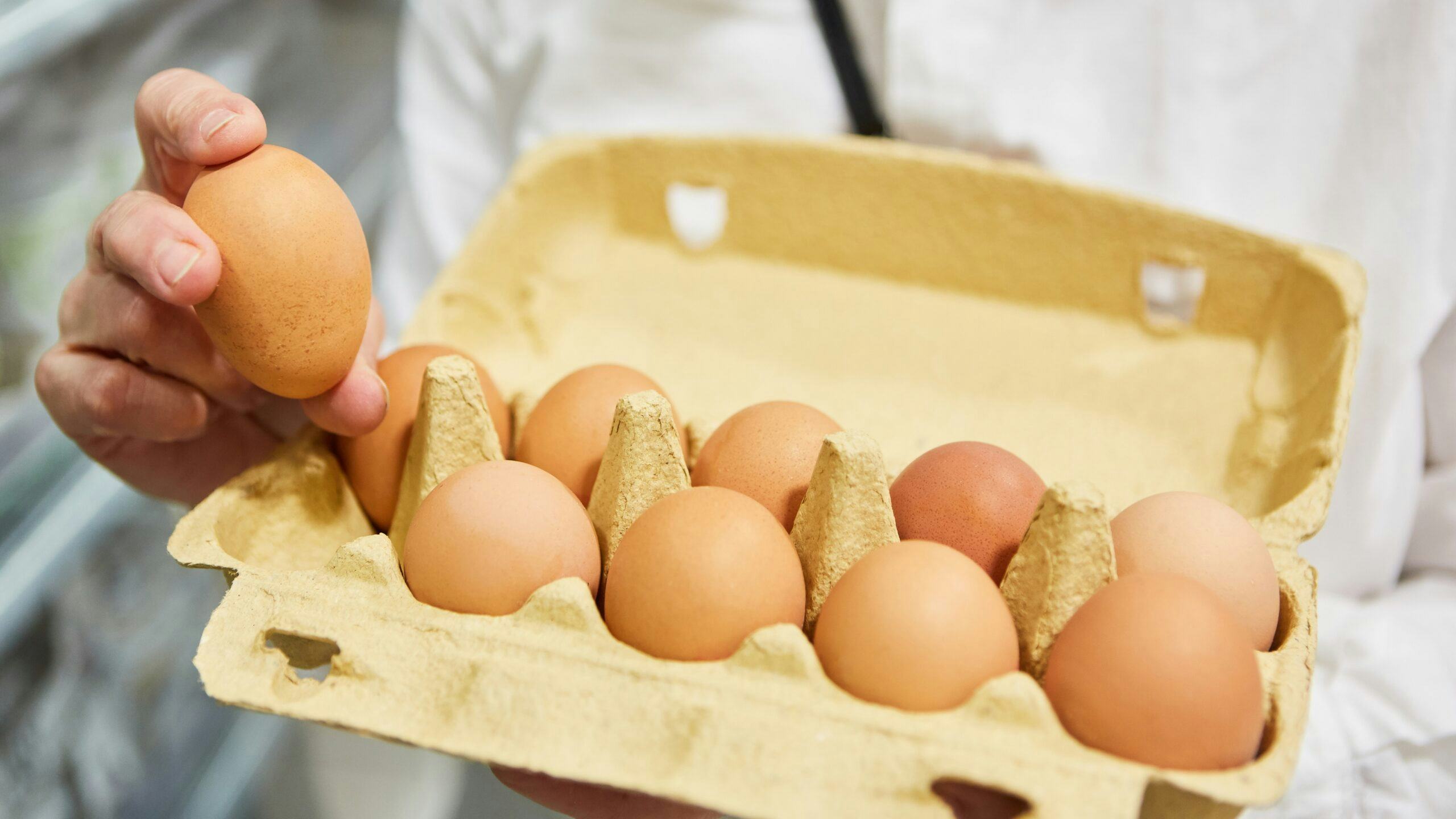 Beeld: Shutterstock