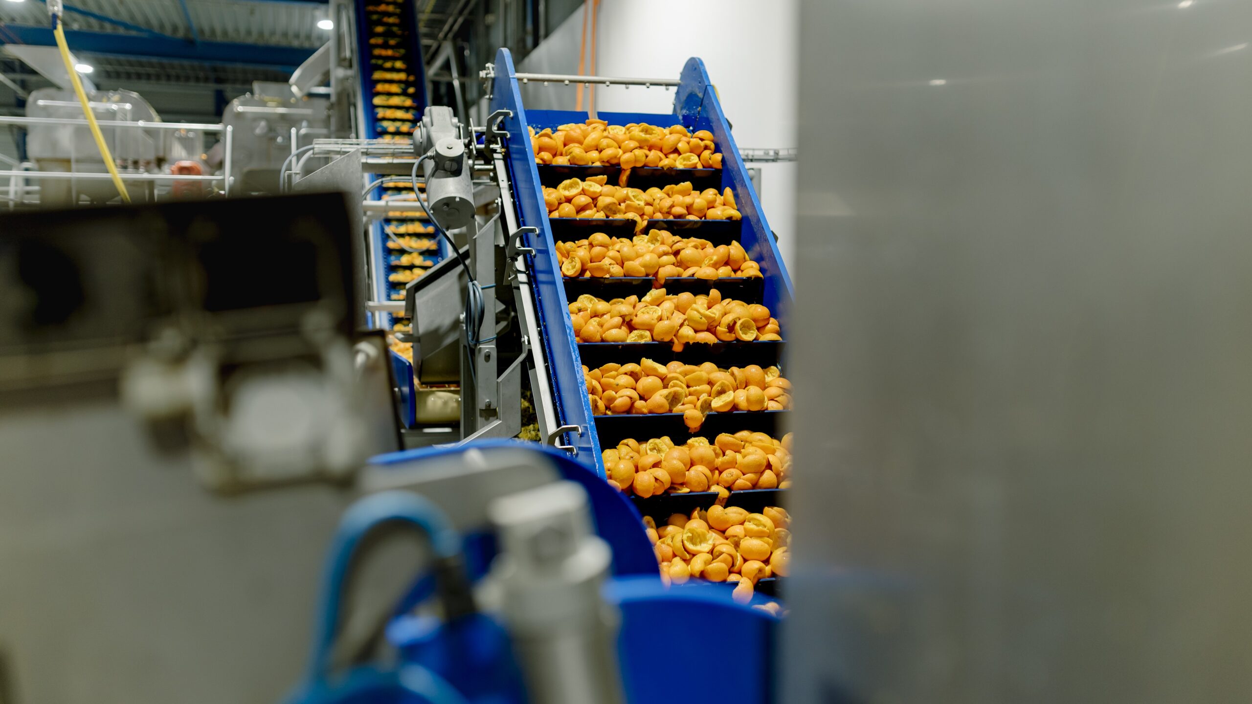 Productie van PeelPioneers in Den Bosch - Beeld: PeelPioneers