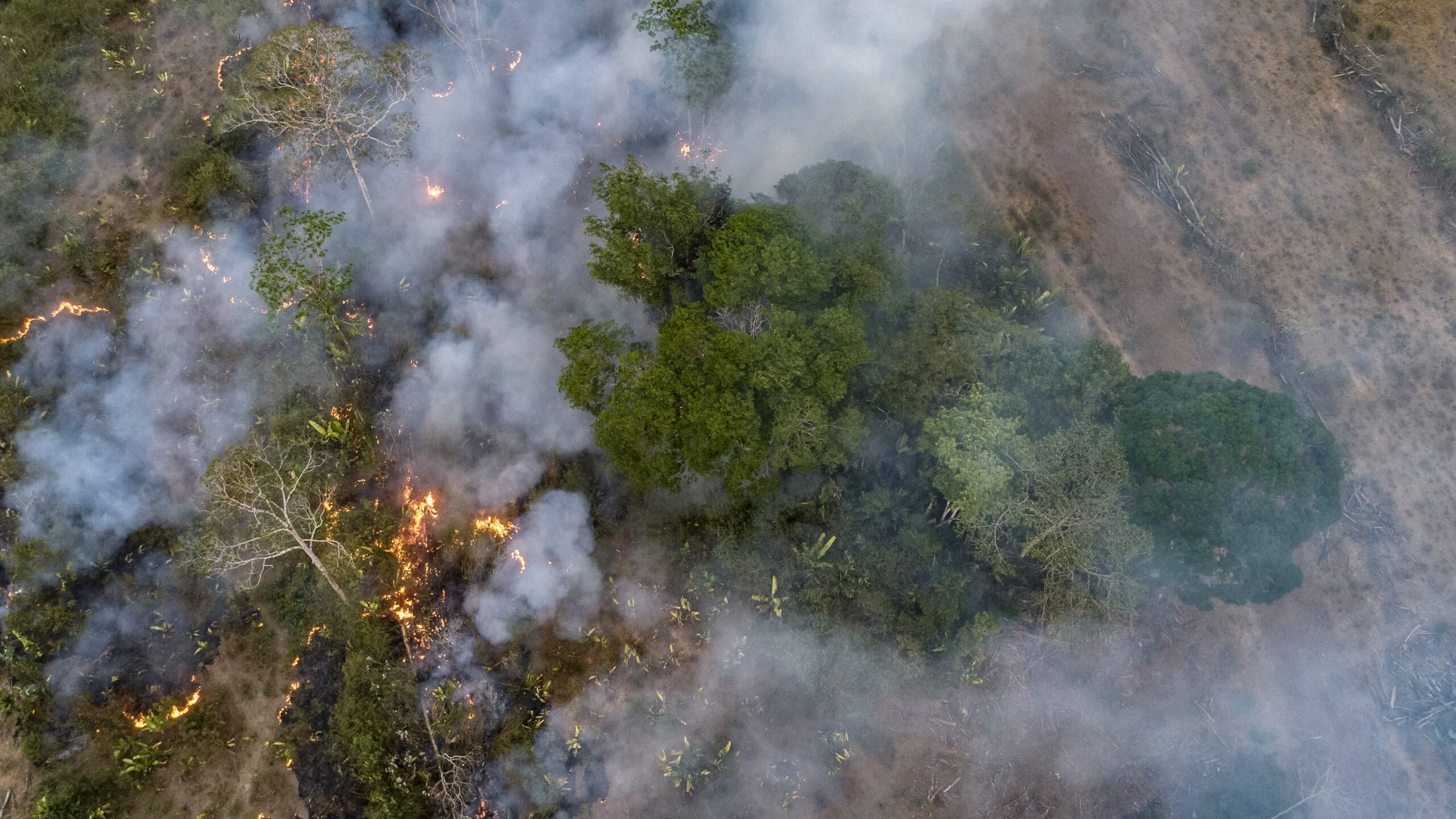 Copyright Credit: © Andre Dib / WWF-Brazil