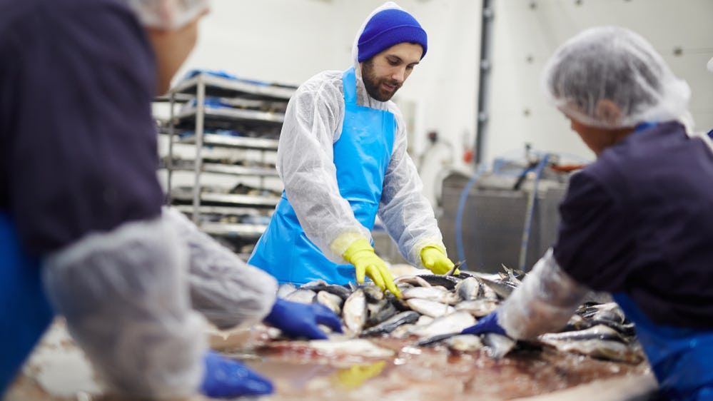 Om de voedselveiligheid van de visserij te verbeteren is in mei 2023 de Hygiënecode voor de visdetailhandel ingevoerd. (foto: Shutterstock)