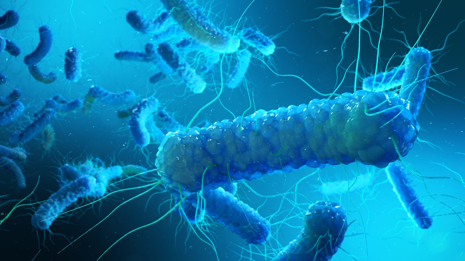 Snel, betrouwbaar en effectief: microbiële controle met MALDI-TOF MS