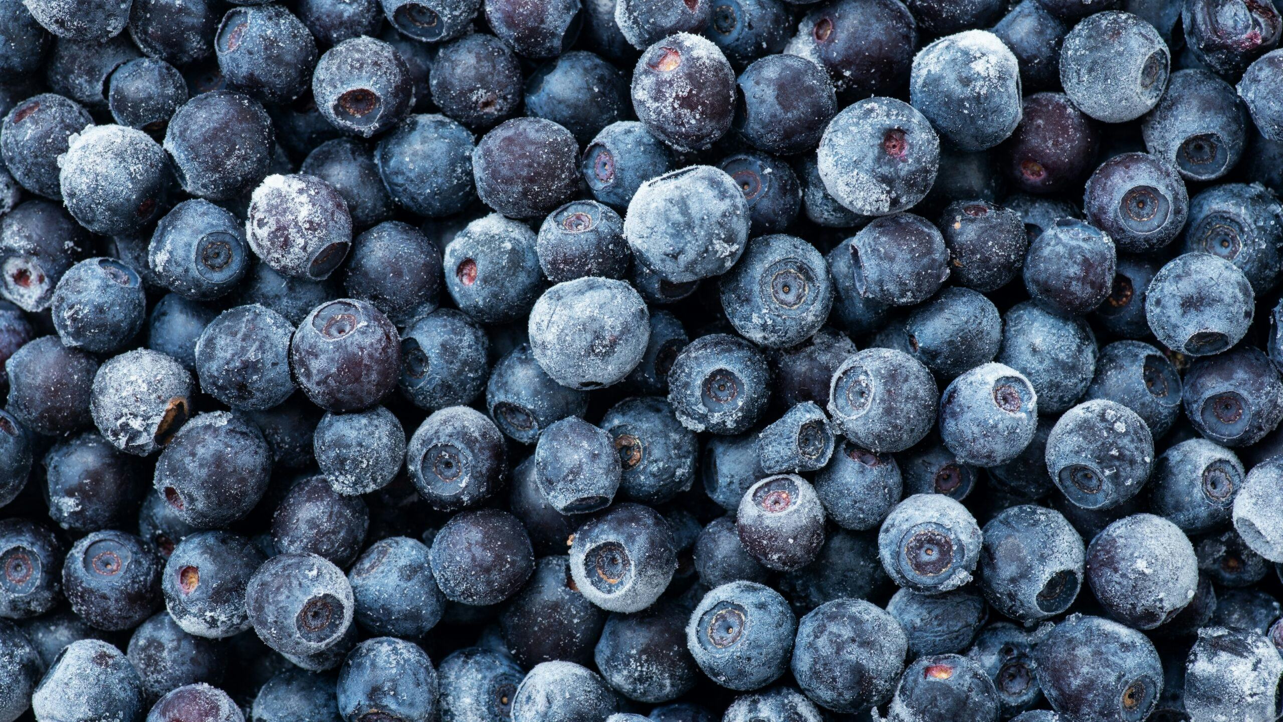Foto: Shutterstock