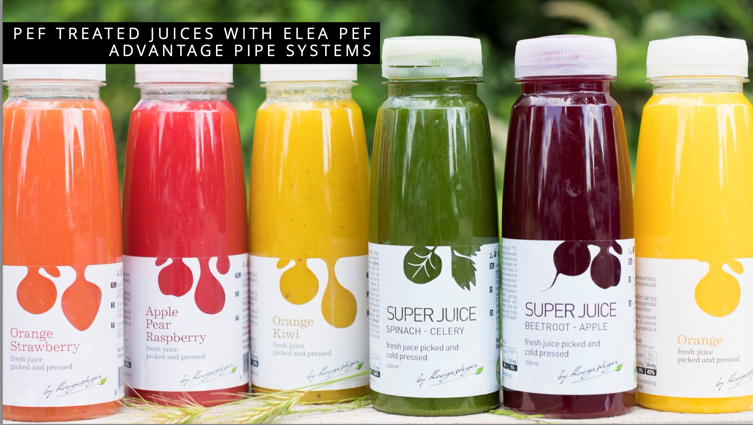 PEF-behandelde sappen. Door het gebruik van Pulsed Electric Field (PEF) blijven de natuurlijke kleur, smaak en voedingsstoffen van de sappen beter behouden, terwijl de houdbaarheid wordt verlengd.