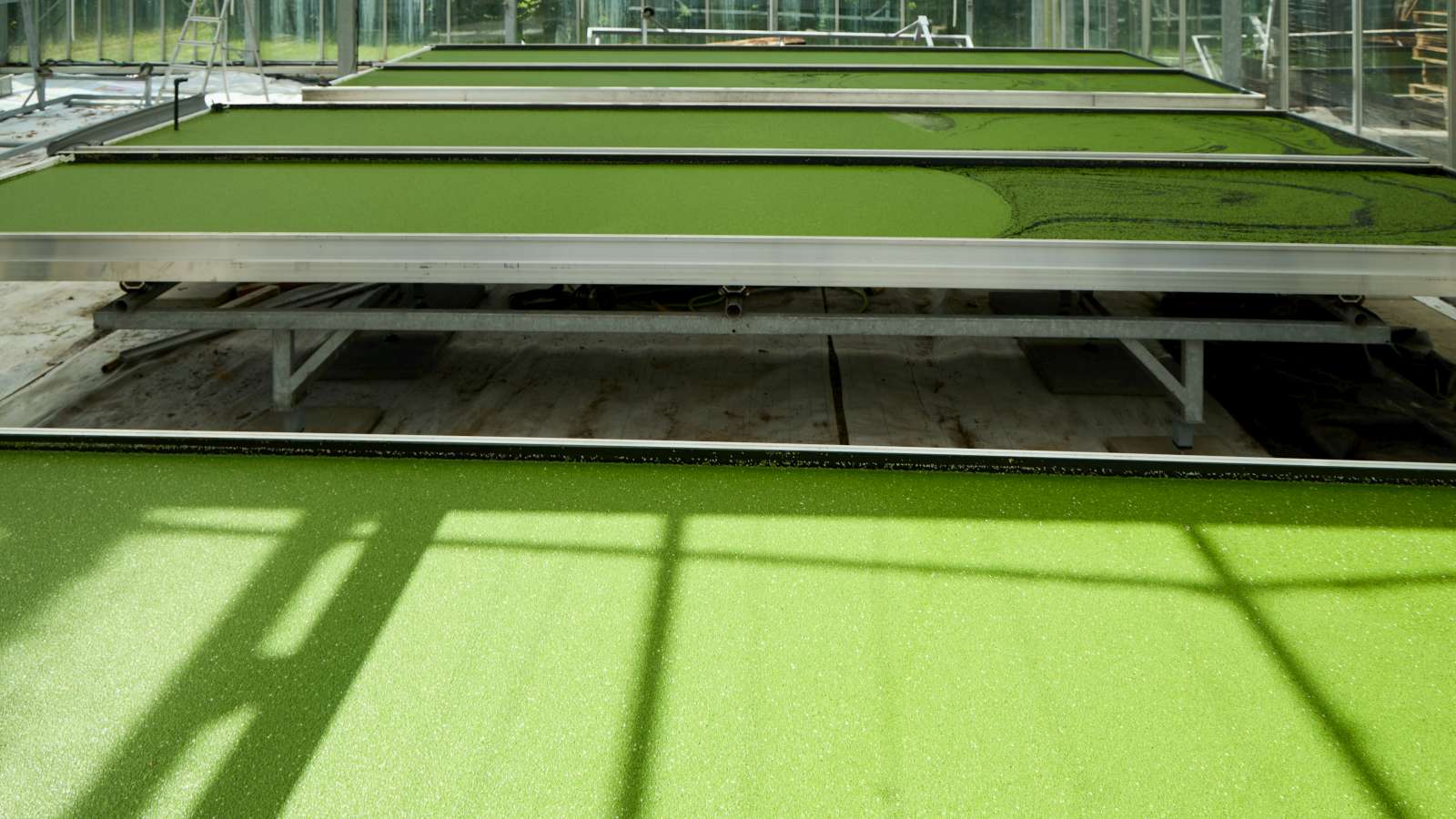 Kweekopstelling van waterlinzen bij Aeres Hogeschool Dronten