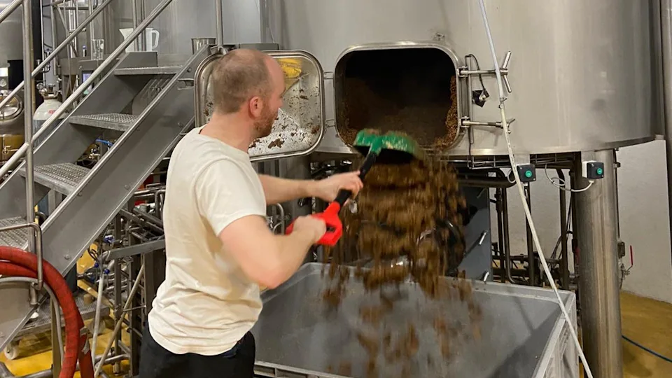 Startup maakt bier met insecten: 'Het vies vinden van insecten leeft ...