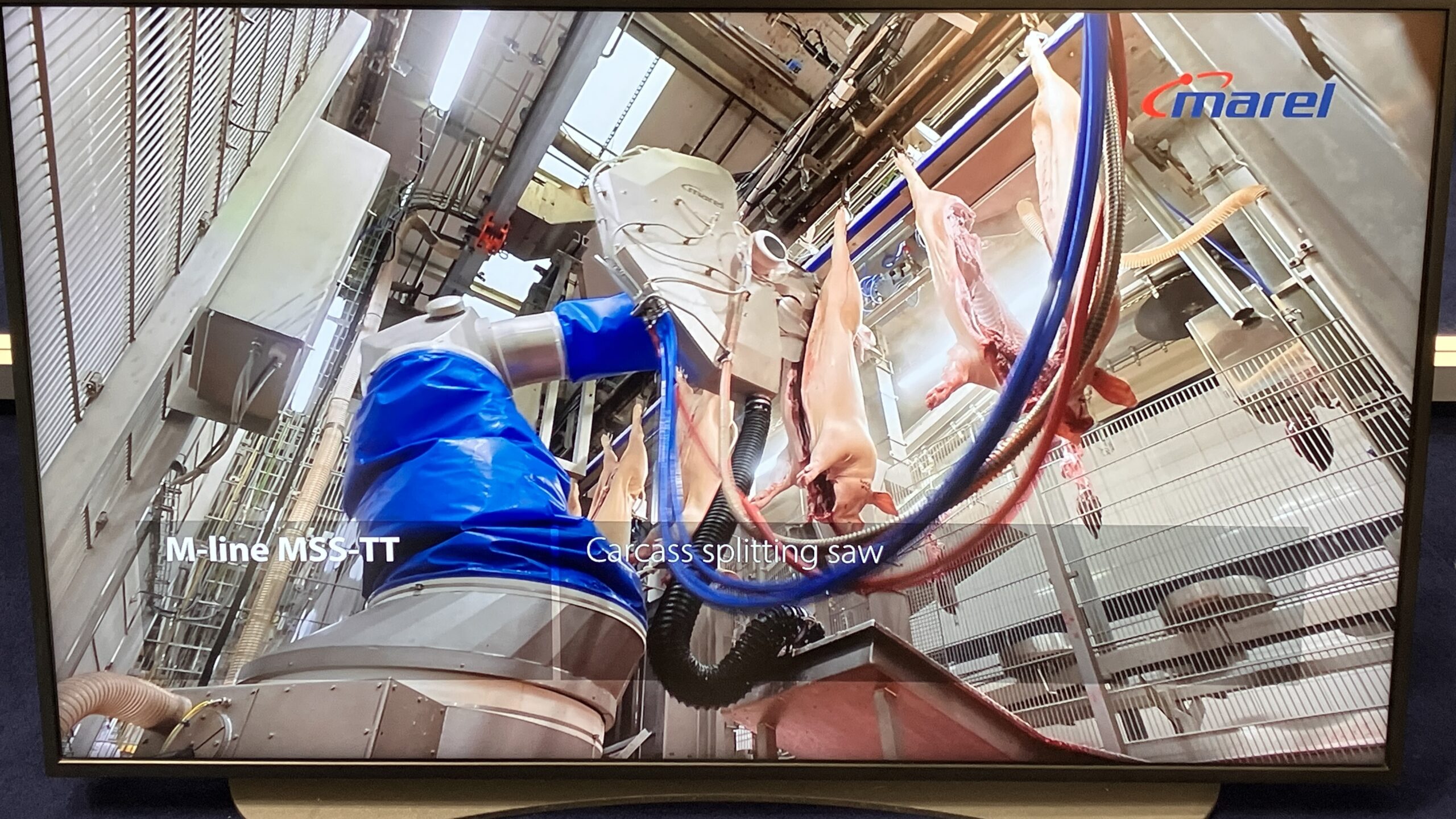 De echte revolutie is niet per se de opkomst van zes-assige robots, want die bestaan al decennia, maar de enorme sprong in vision-technologie. De combinatie ervan maakt robots in de vleesverwerking supersnel, adaptief en precies.