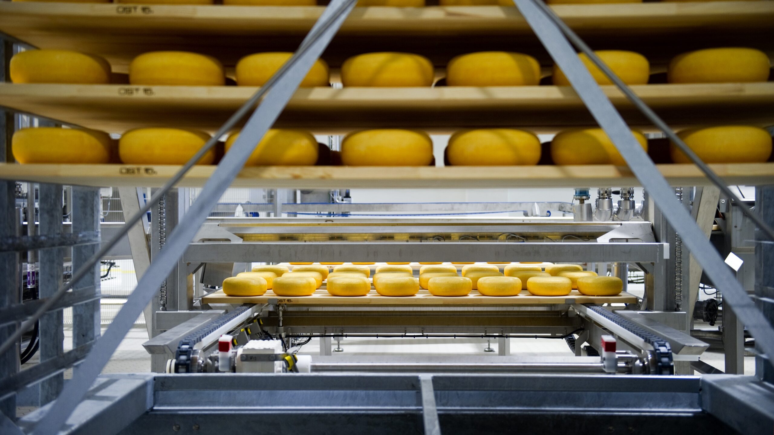 Beeld: FrieslandCampina 