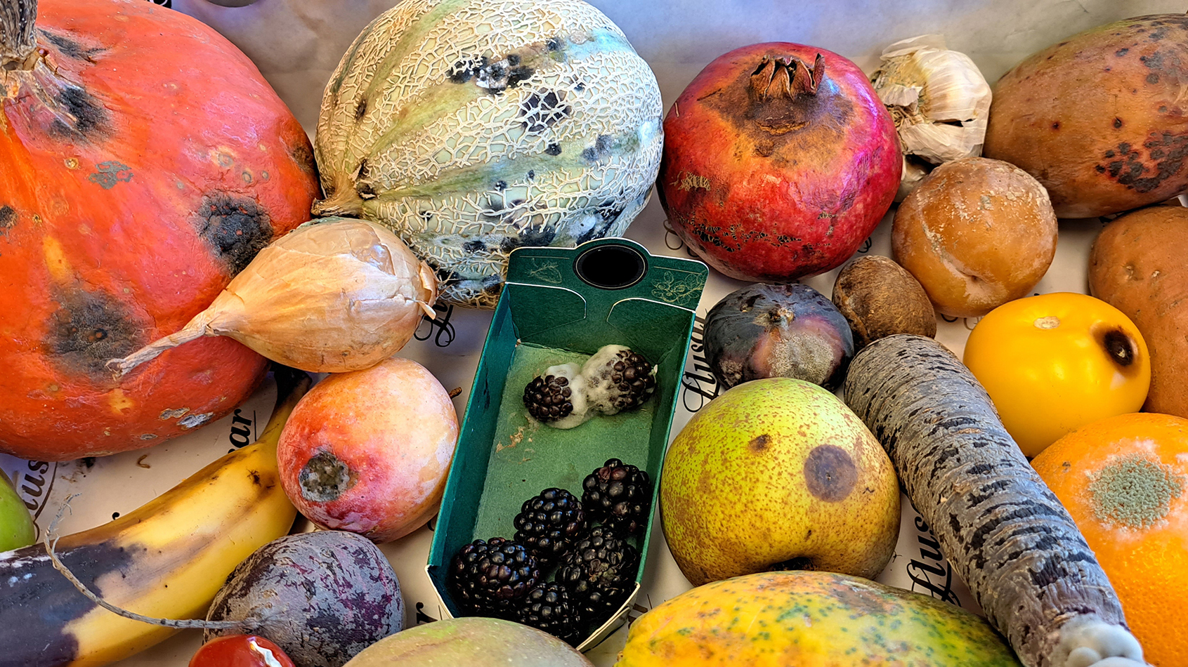 Voedselbederf is een van de grootste oorzaken van voedselverlies wereldwijd (Beeld: Westerdijk Instituut)