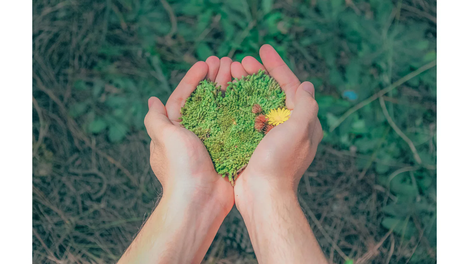 24/10 | Webinar: De overlap tussen MVO & Kwaliteit: Slim benutten wat je al doet