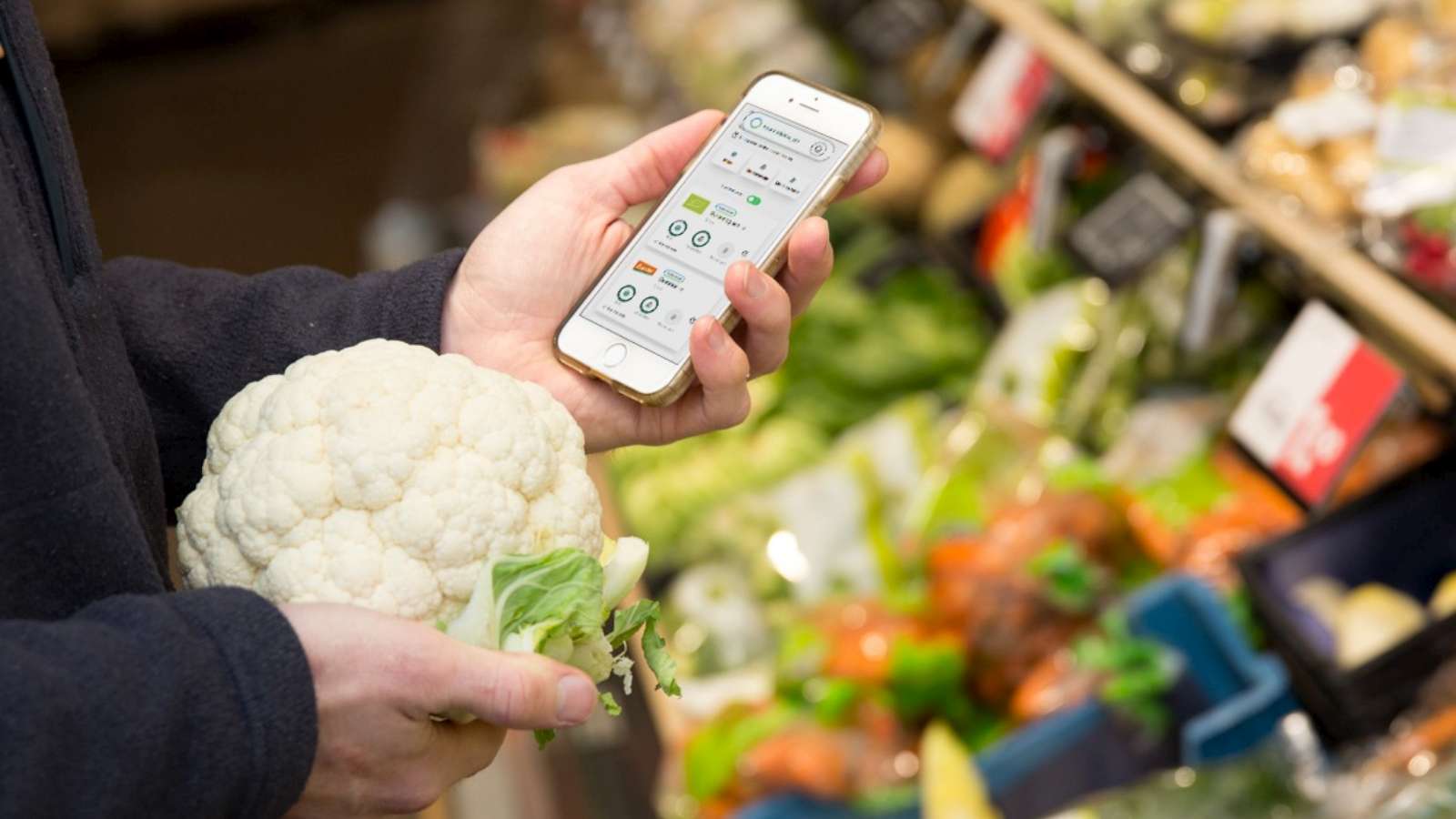 Fotocredit: Milieu Centraal
