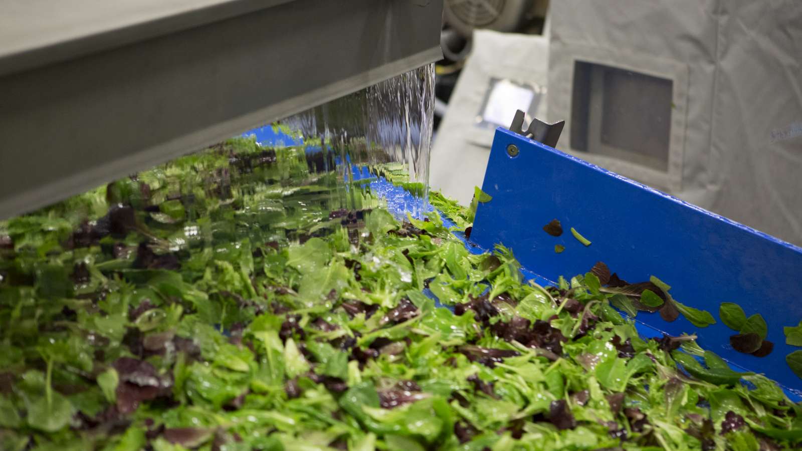 Beeld: SmartWash Solutions