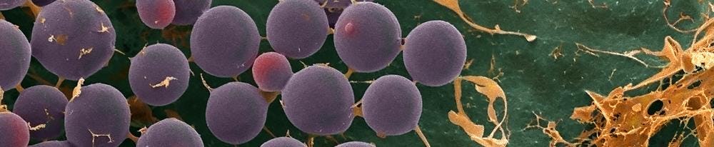 29/01/2026 | KNVM Symposium