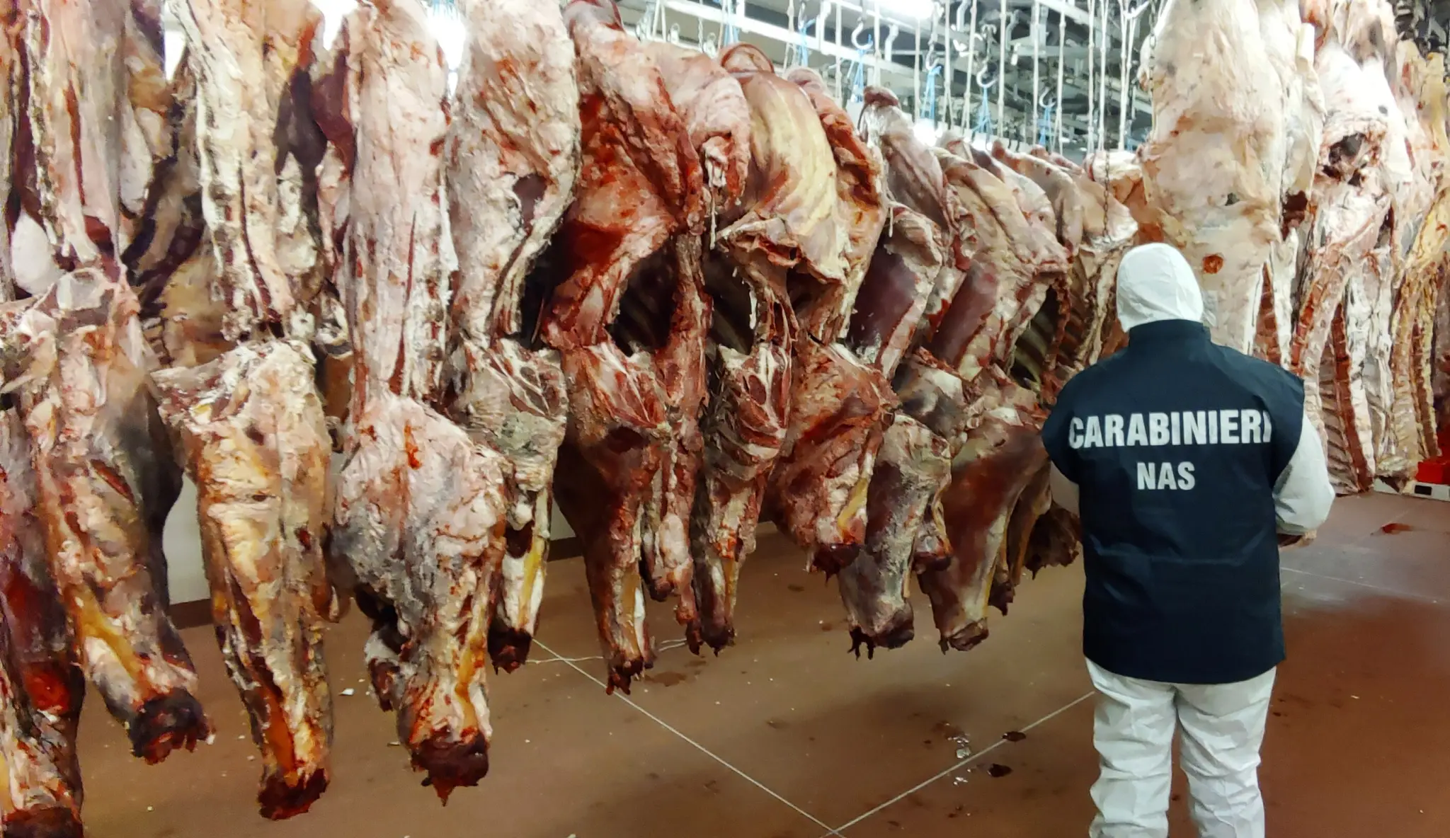 Illegaal slachthuis. (Beeld: Europol)