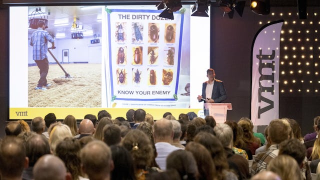 Beeld: Koos Groenewold