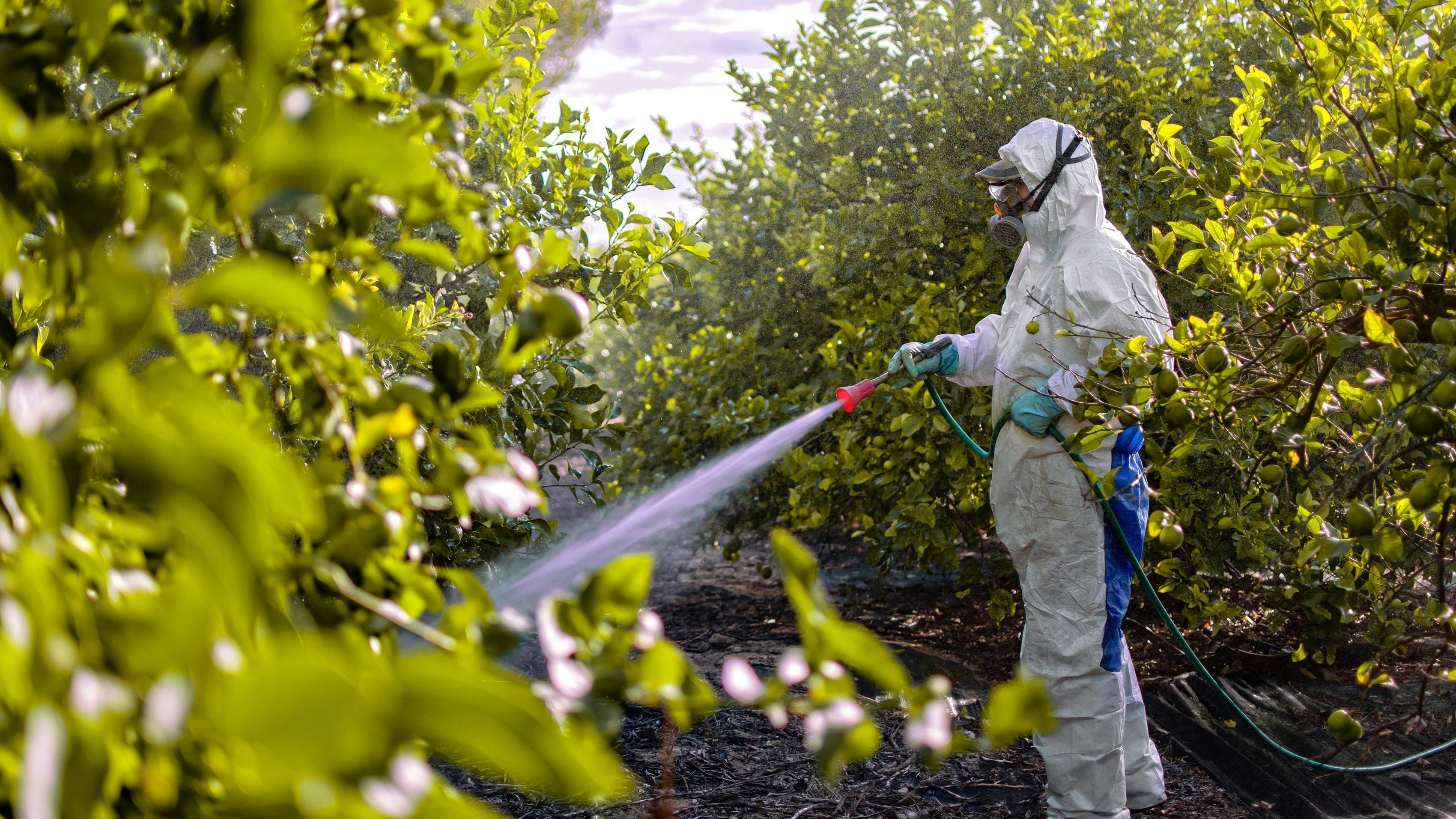 'Pesticidepolitie' PAN ziet hiaten in beoordeling bestrijdingsmiddelen: 'Vertrouw niet blind op de toelating'