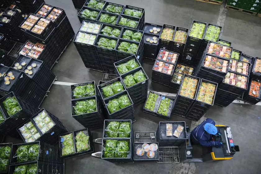 Groenteproductie bij Heemskerk fresh & easy in Rijnsburg. Fred Libochant Fotografie