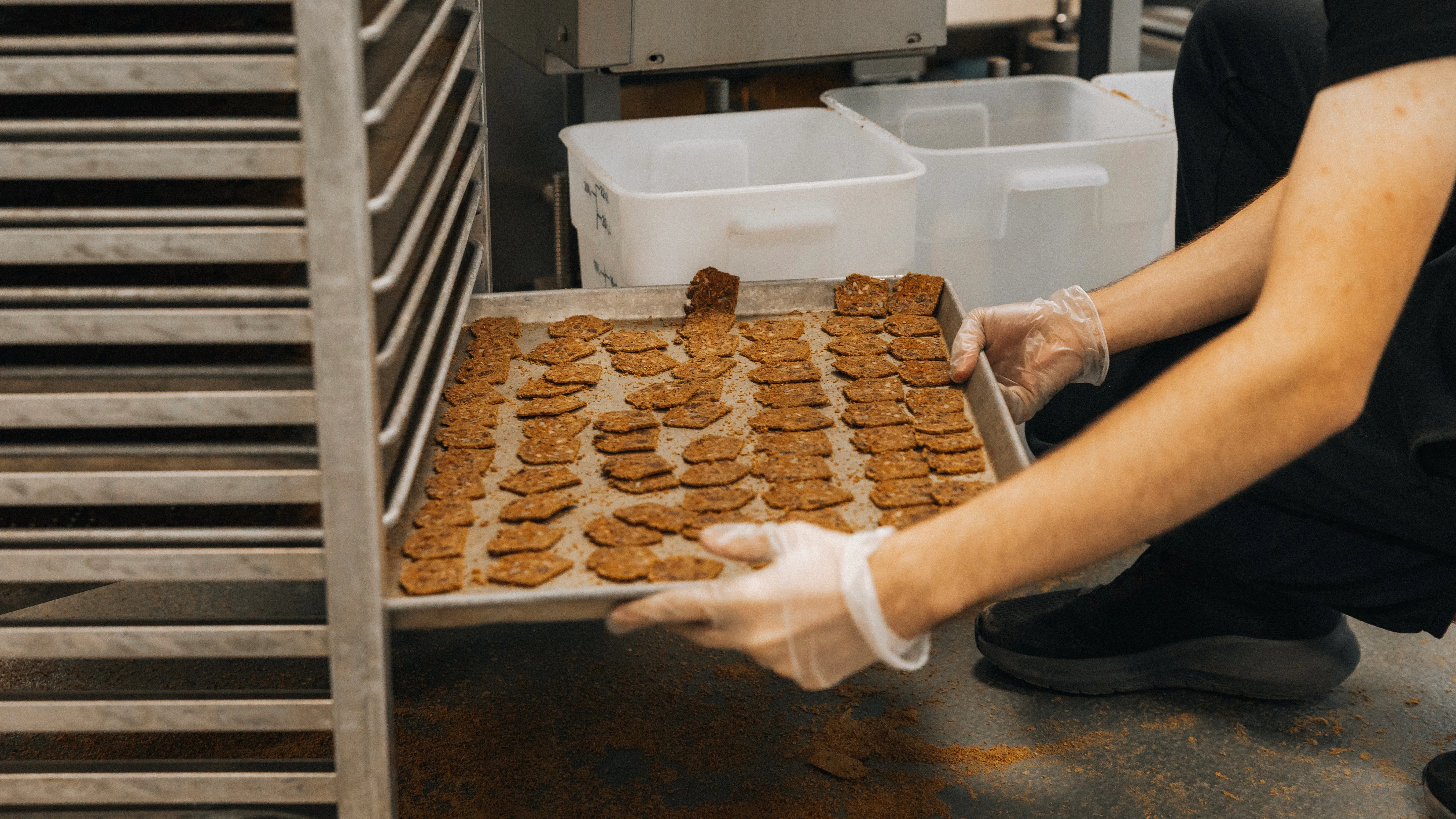 Boekweitcrackers van de Maine Crisp Company. (Beeld: Food Export - Northeast)
