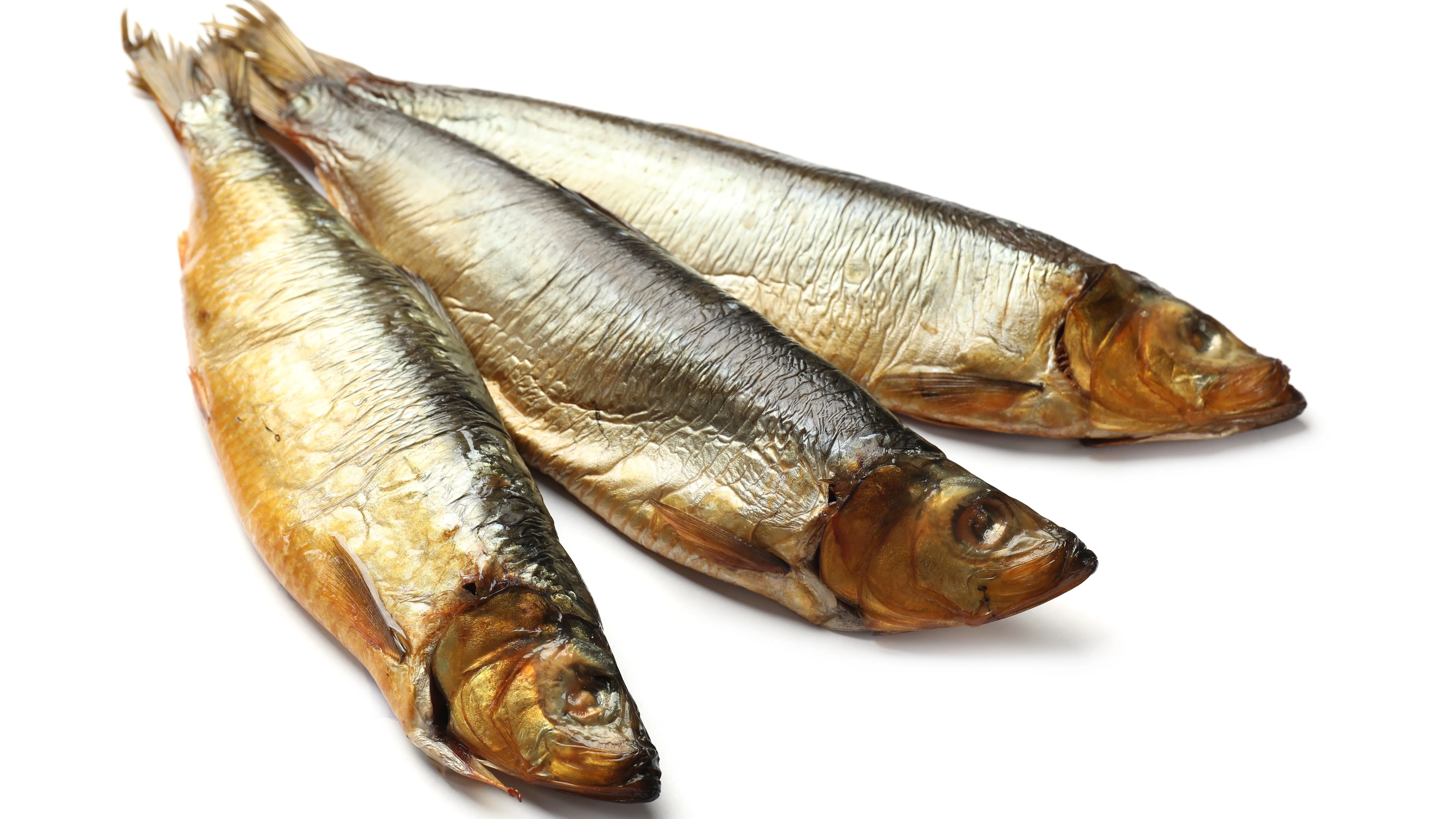 Afbeelding: Shutterstock