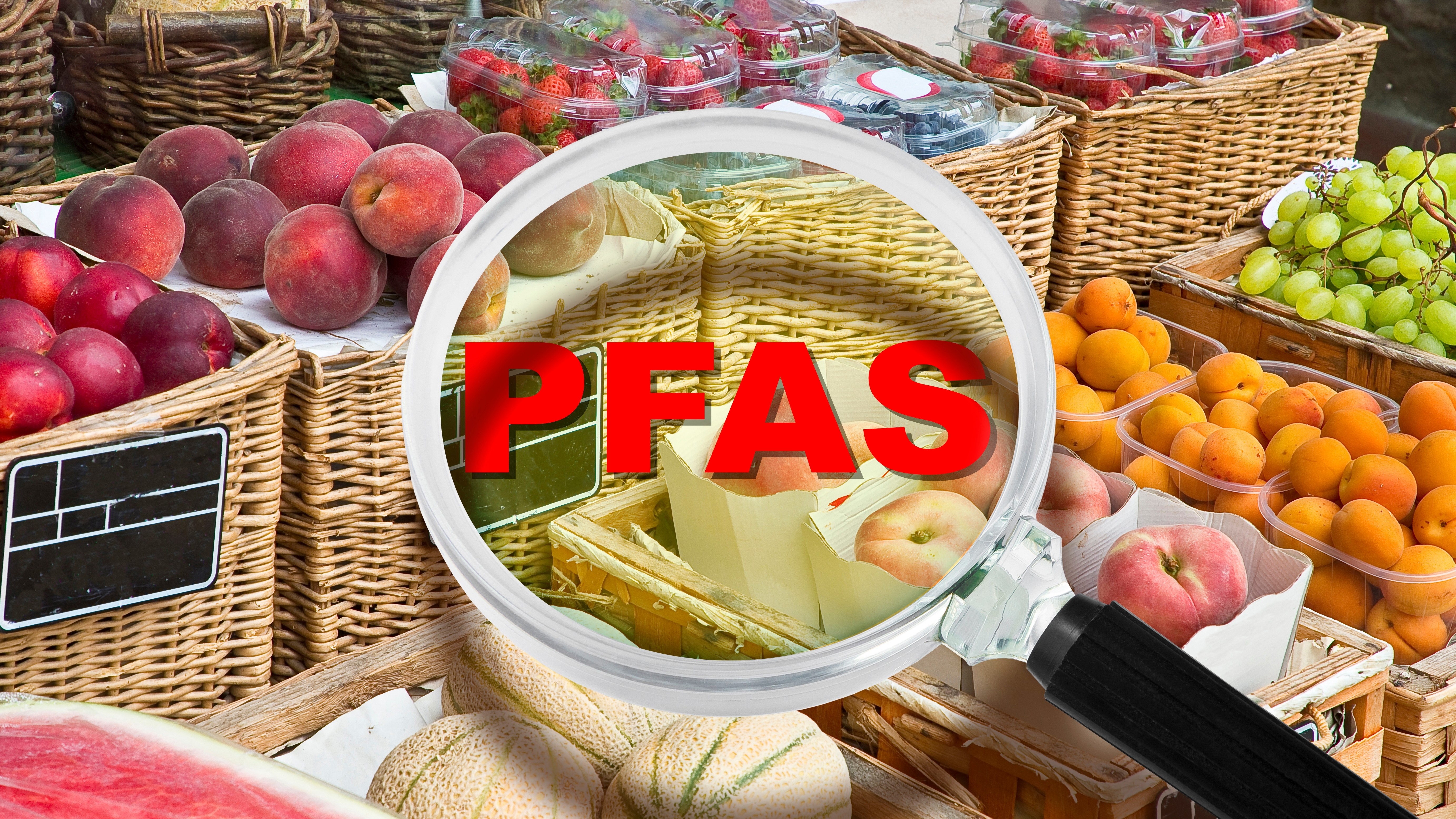 Foto: Shutterstock
