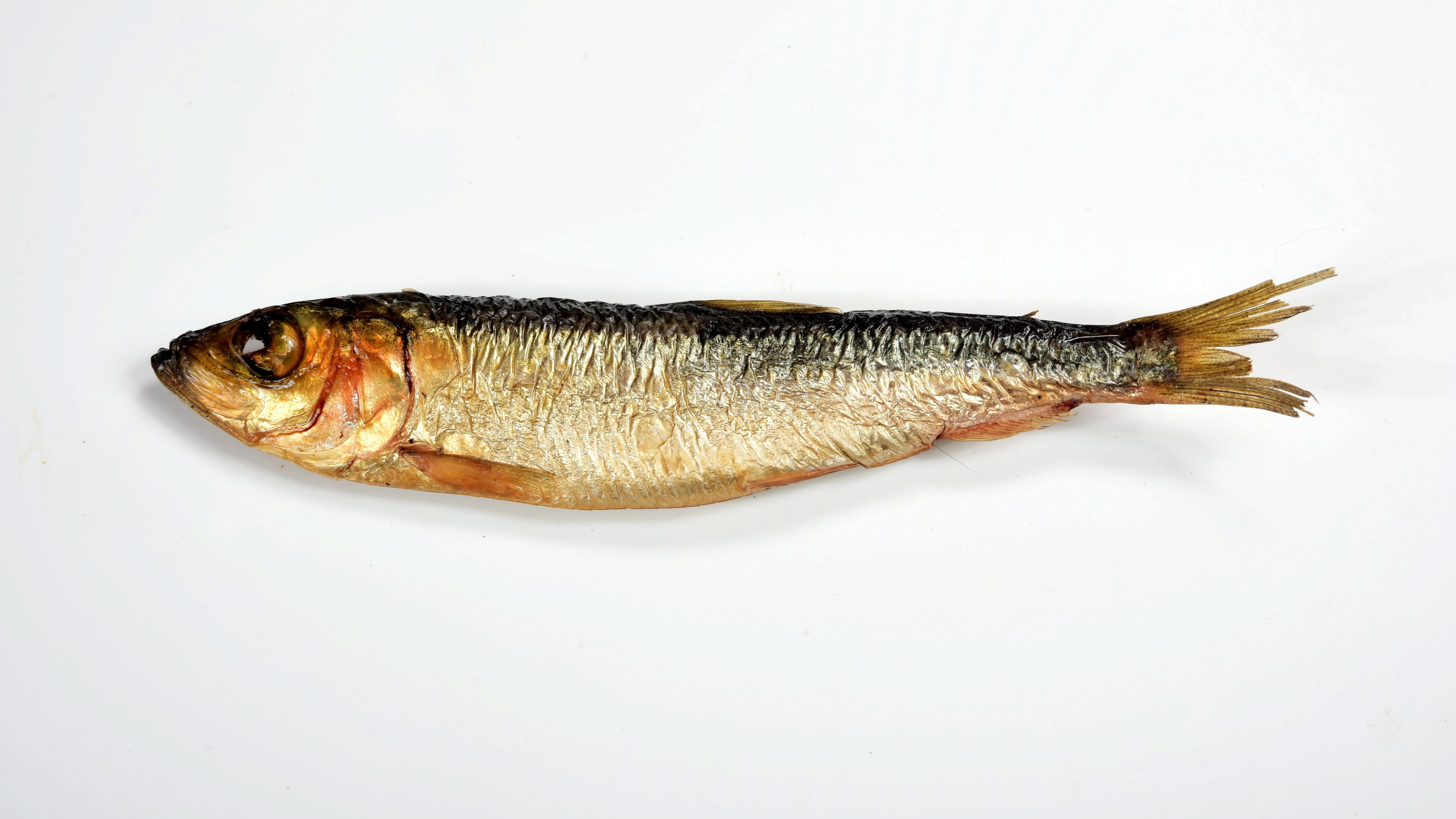 Foto: Shutterstock