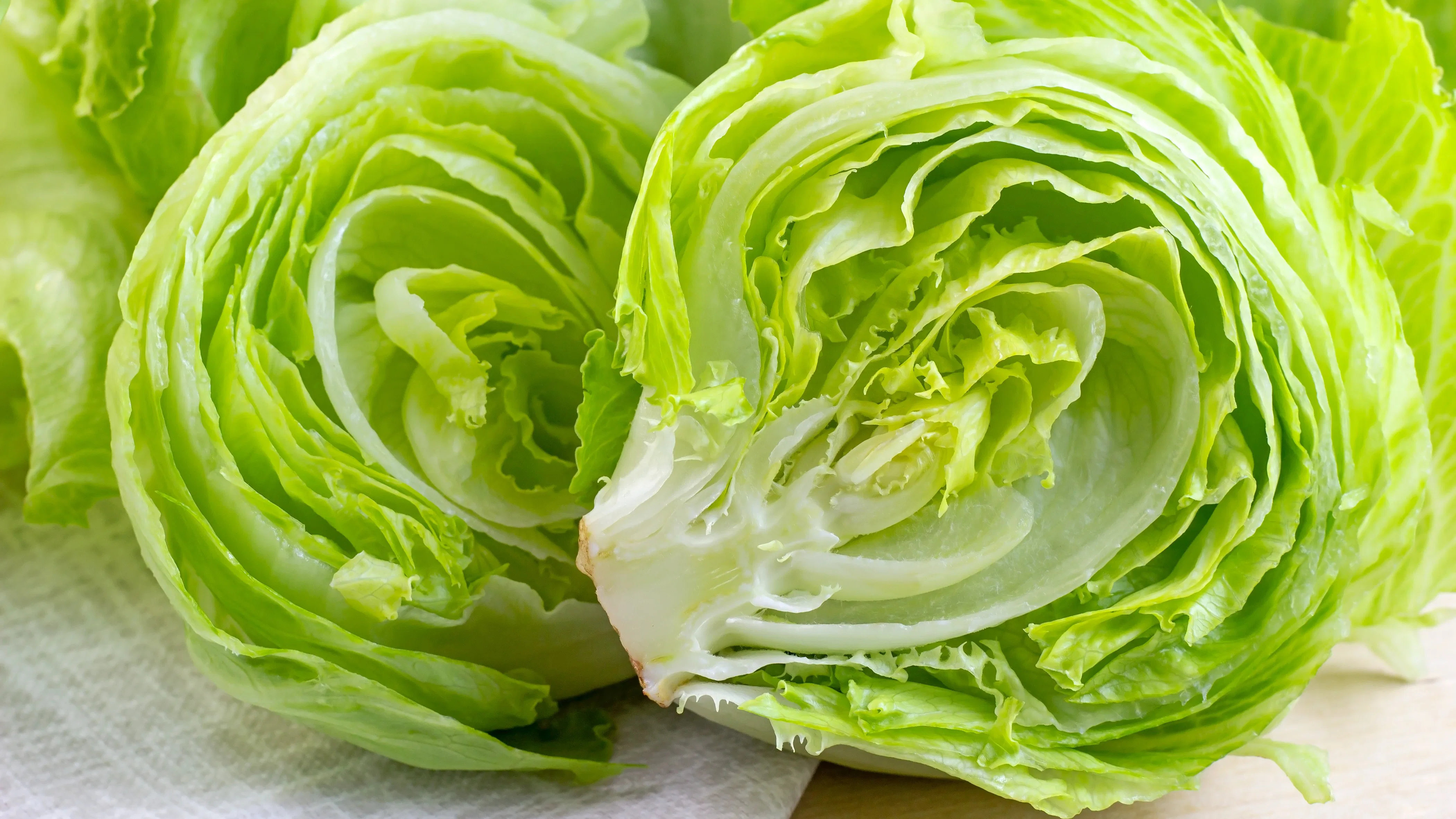 Beeld: Shutterstock