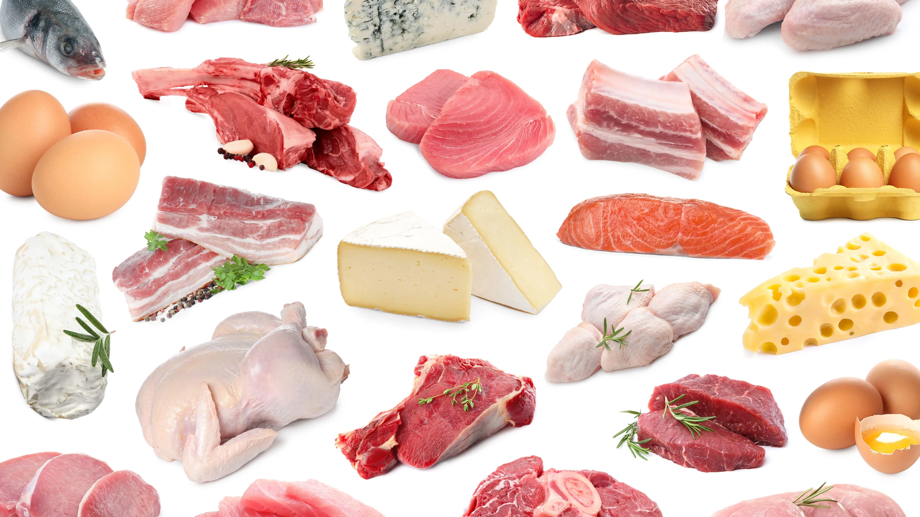 Foto: Shutterstock