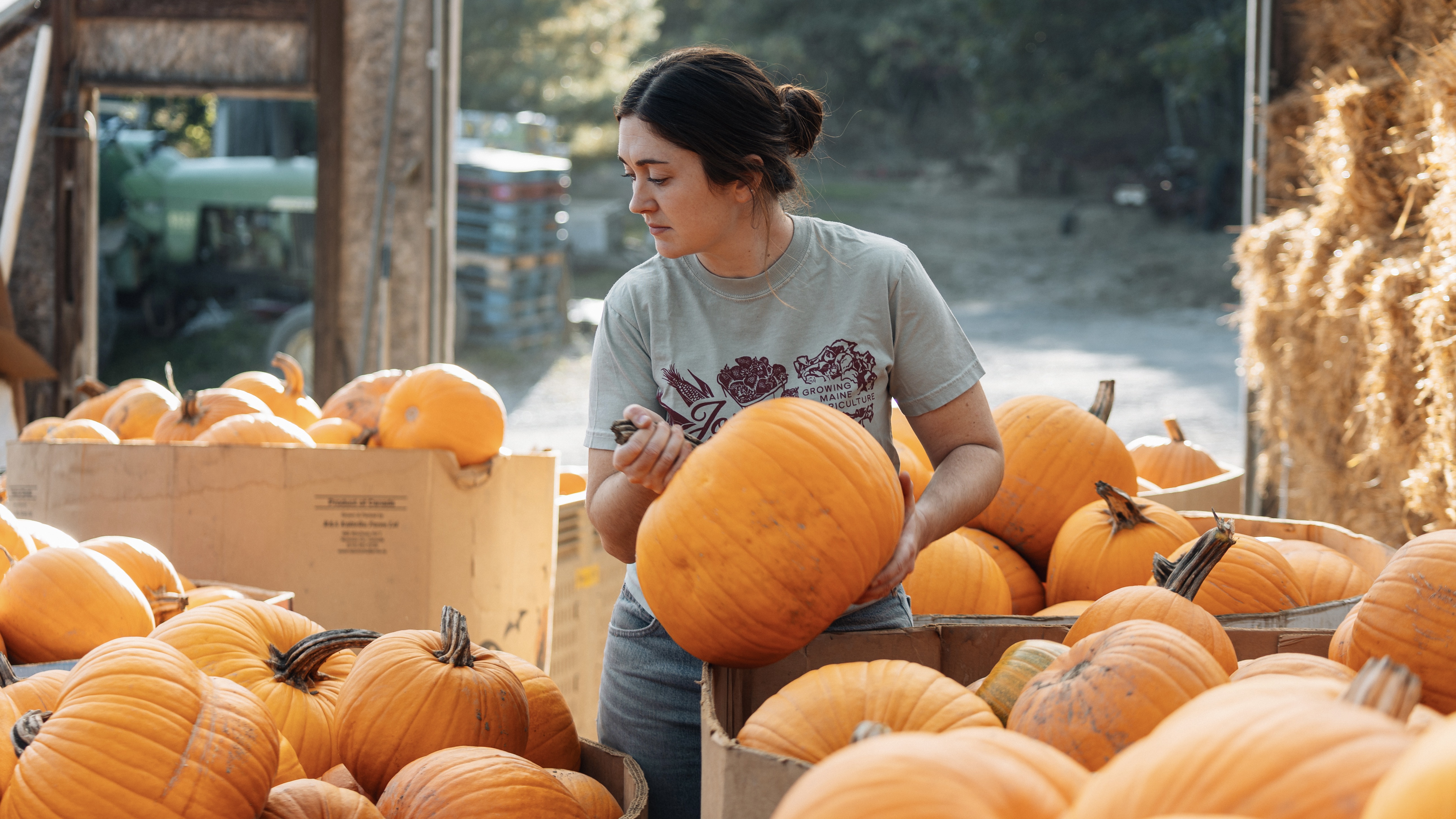 Jordan's Farm in Maine (Beeld: Food Export - Northeast)