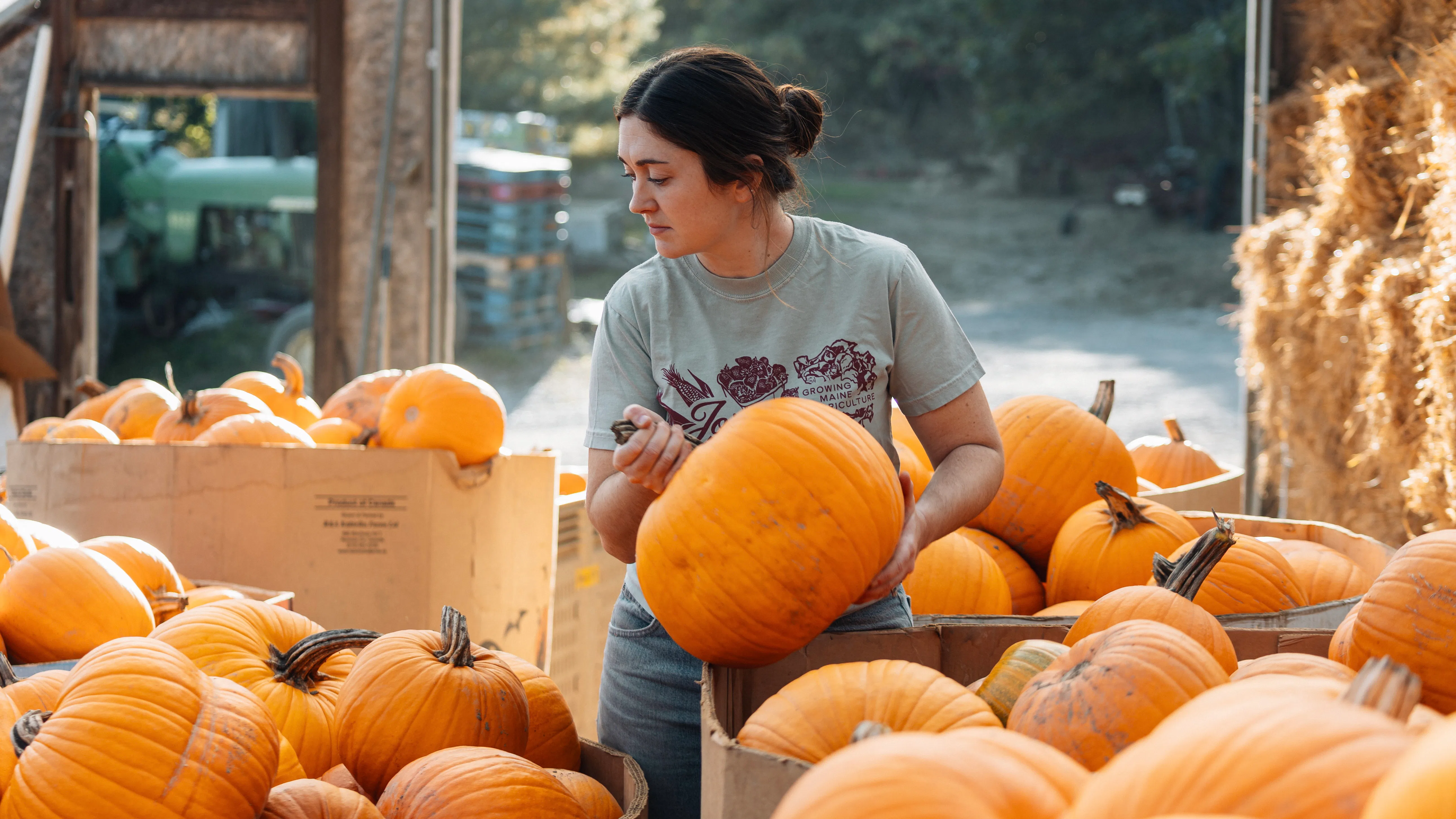 Jordan's Farm in Maine (Beeld: Food Export - Northeast)