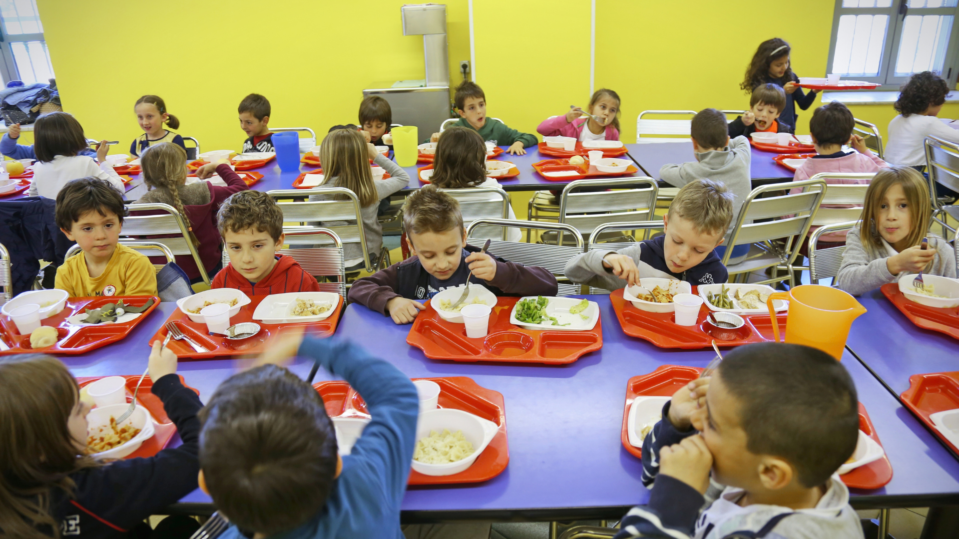 Afbeelding van Shutterstock